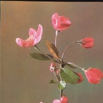 2017.019.002.03-0197